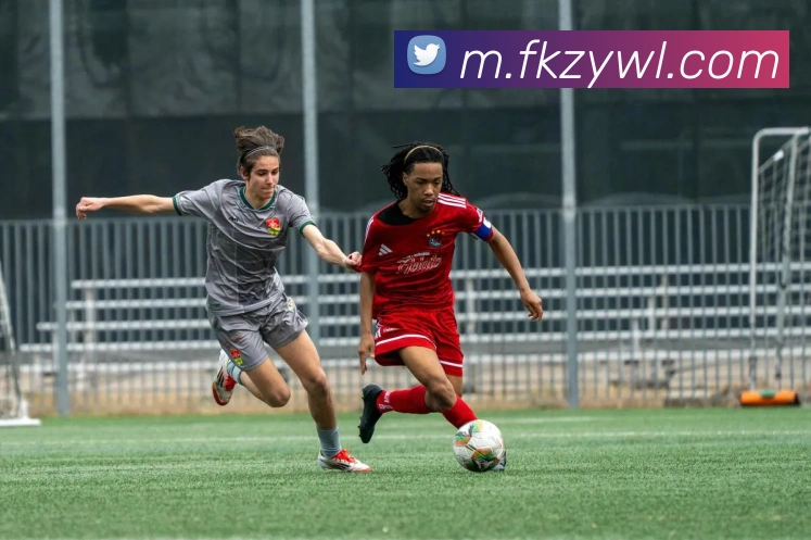 米兰中国官方网站品牌故事